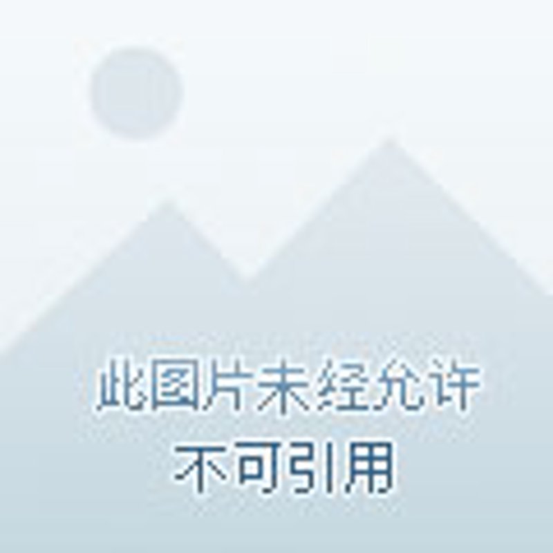 佳投环球：全球资本市场的动态与趋势